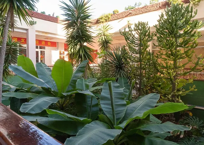 El Dorado, Americas Arona (Tenerife)